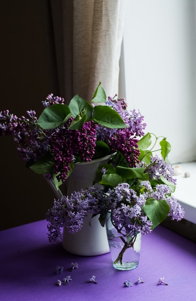 桌上有绿叶的紫色花